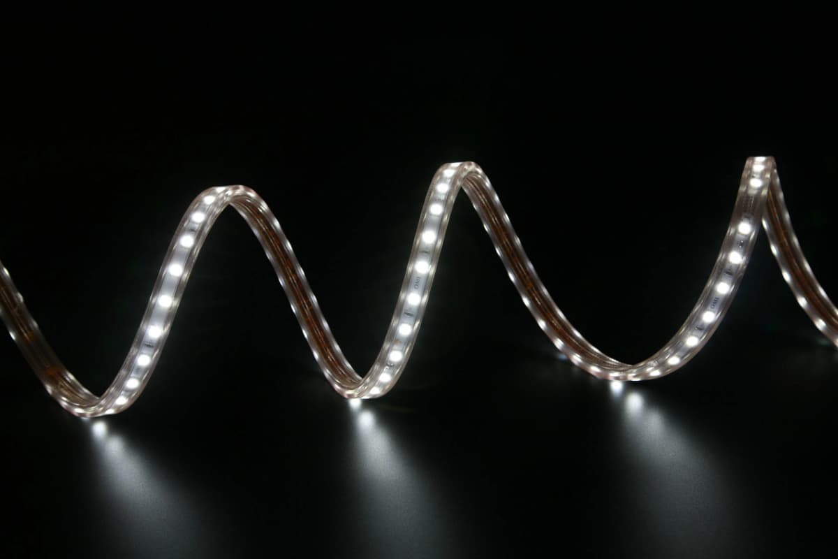 White Striplight